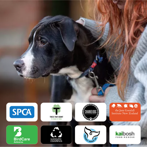 Donate to an Animal or Environment Charity
