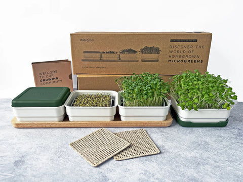 Soil-less Microgreen Grow Kits