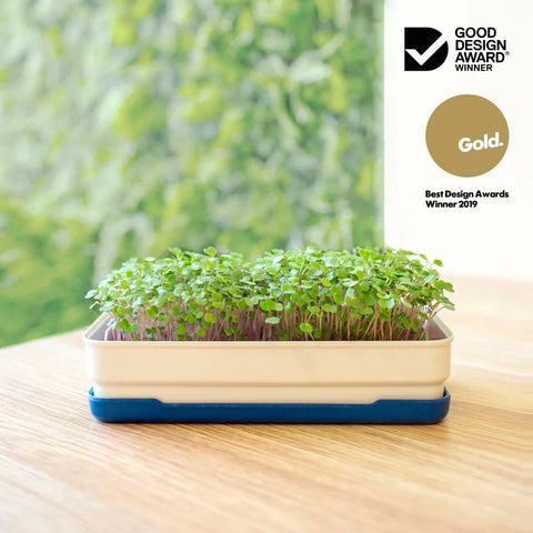 Soil-less Microgreen Grow Kits