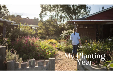 The Edible Backyard