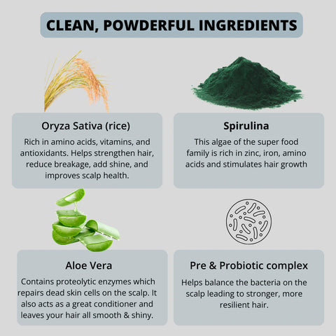 Award Winning Powder Based Hair Care