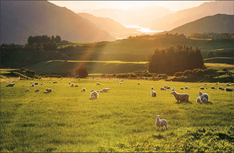 Nadia's Farm Kitchen