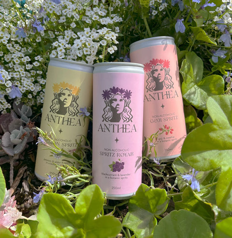 Elegant Alcohol Free Botanic Spritz Cocktails | 6 Pack