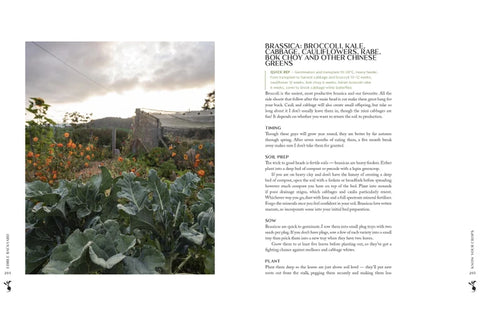 The Edible Backyard