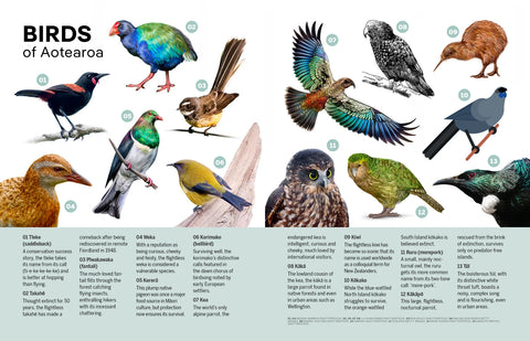 Experience New Zealand: Get Away From The Everyday