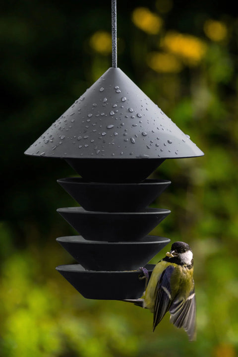 Bird Feeder For The Modern Garden