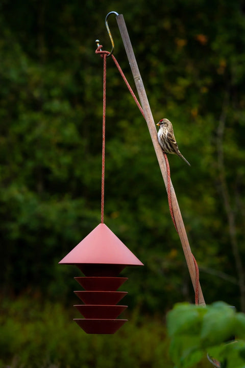 Bird Feeder For The Modern Garden