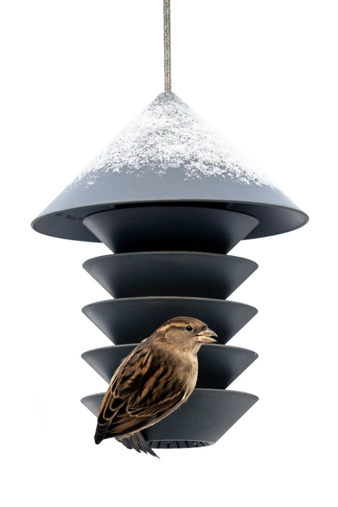 Bird Feeder For The Modern Garden