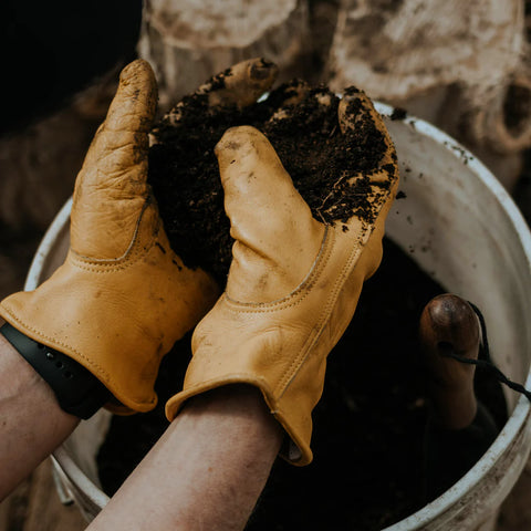 Leather Work Gloves