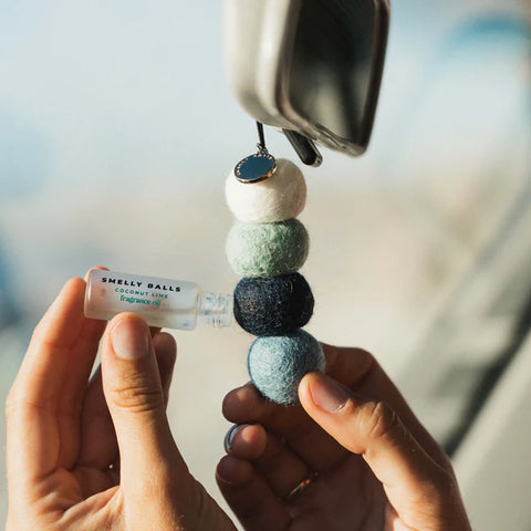 Smelly Balls | Reusable Air Freshener