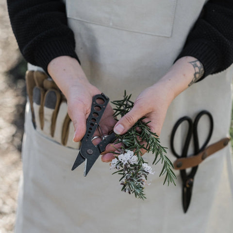 Herb Harvest Strip Tool