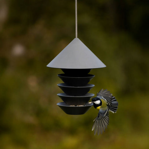 Bird Feeder For The Modern Garden