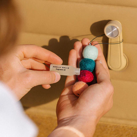 Smelly Balls | Reusable Air Freshener