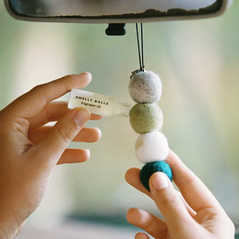 Smelly Balls | Reusable Air Freshener