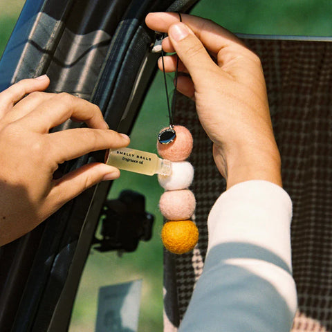 Smelly Balls | Reusable Air Freshener