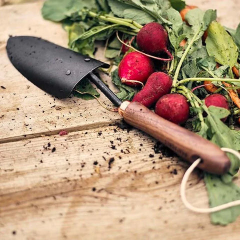 Spade Gardening Trowel