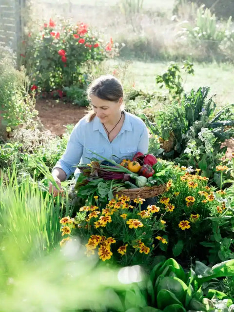The Edible Backyard