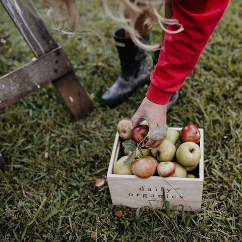 Organic Apple Cider Vinegar