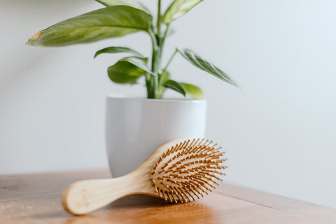 Bamboo Hairbrush