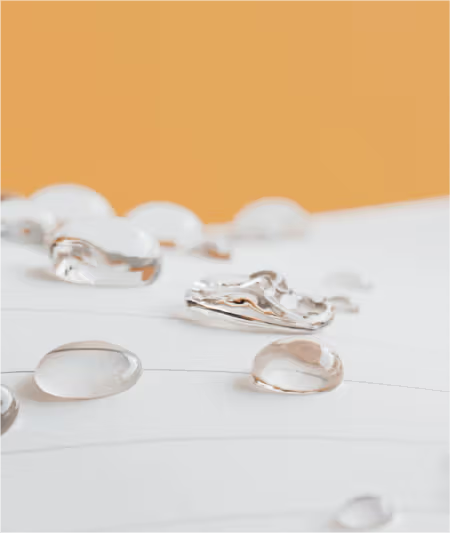 Daily Action Planner | Stone Paper