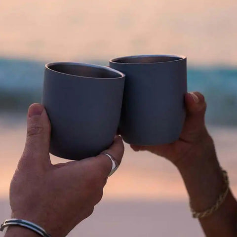 Parkside Tumbler 2-Pack + Wool Case