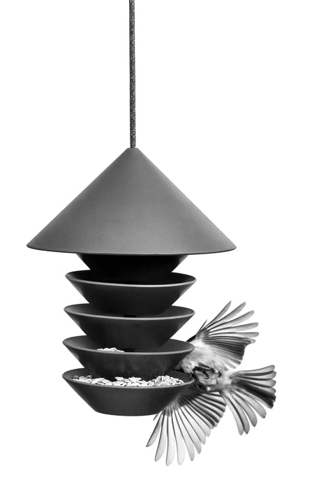 Bird Feeder For The Modern Garden