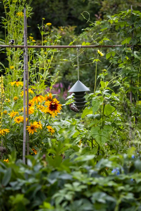 Bird Feeder For The Modern Garden